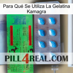 Para Qué Se Utiliza La Gelatina Kamagra new03